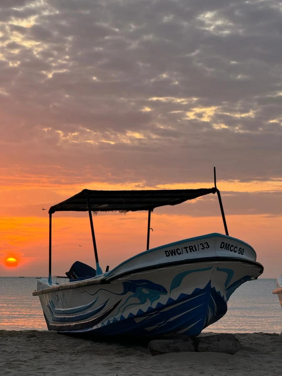 Sunrise over Trincomalee beach, perfect for early morning whale watching